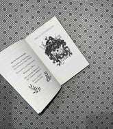 vengeance of the pirate queen daughter of the pirate king series book 3 by tricia levenseller 1